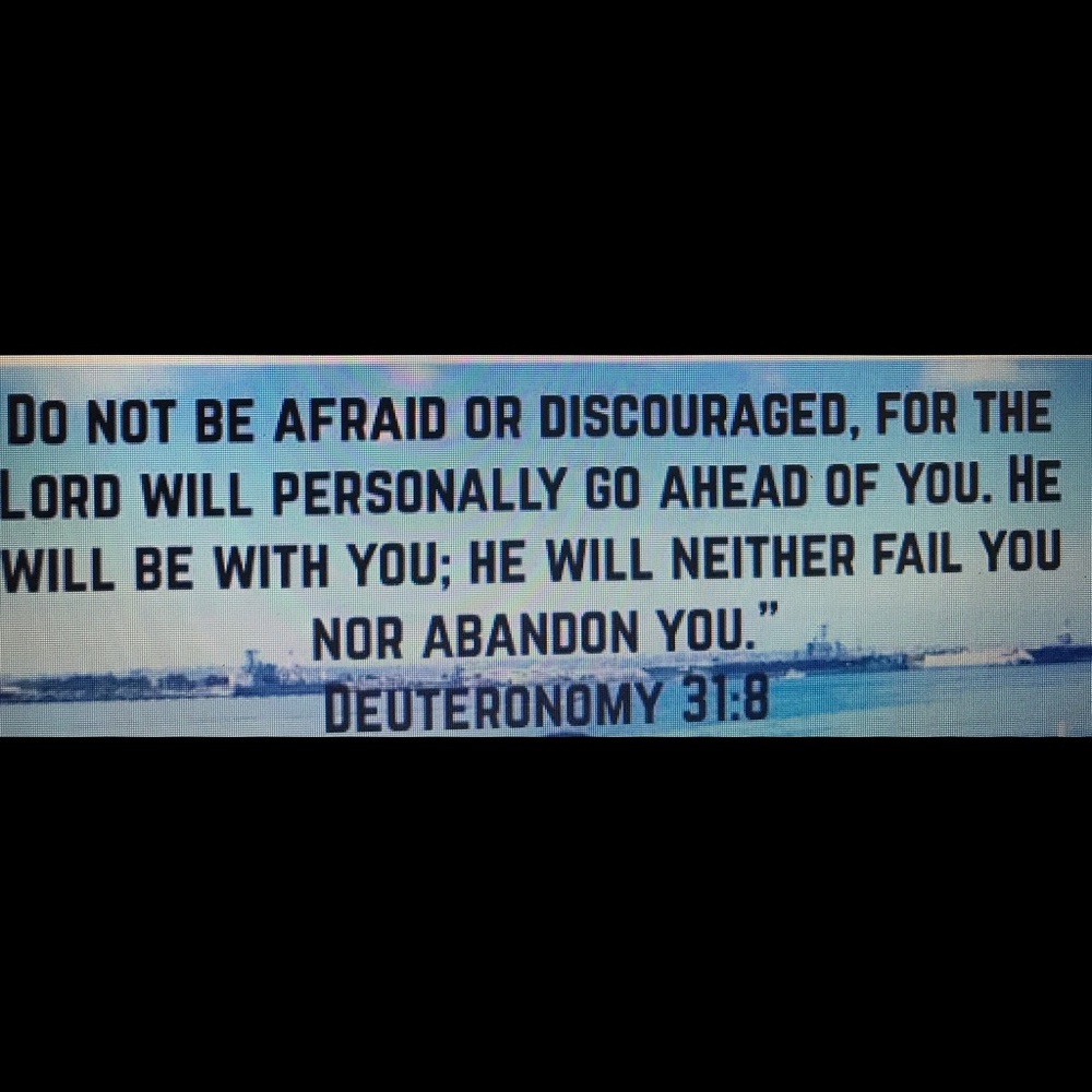 Meet your Posher, Lily